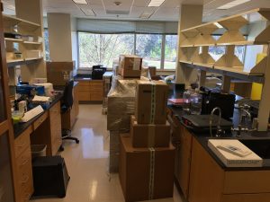 New Lab with Boxes 2